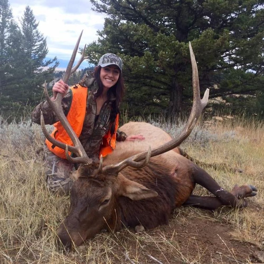 Meet your Posher, Katherine